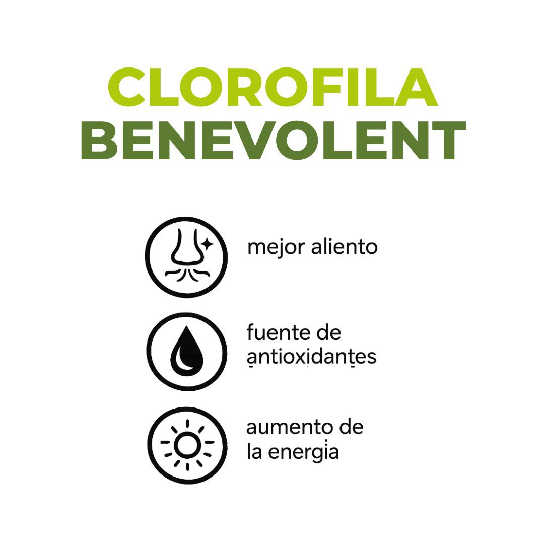 Clorofila Líquida Vívida