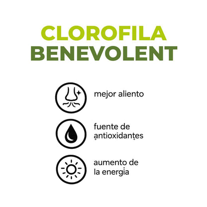 Clorofila Líquida Vívida