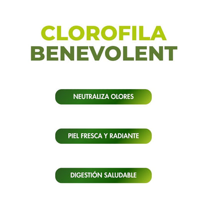Clorofila Líquida Vívida
